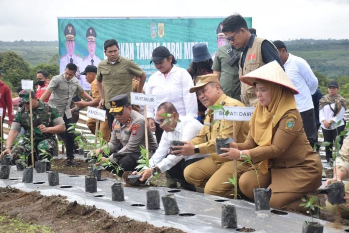 Panen Cabai dari KPT Parbuluan Tiba di Kantor Gubsu, Bupati Eddy Berutu: Dairi Bukan Lagi Memulai Tapi Sudah Tunjukkan Hasil