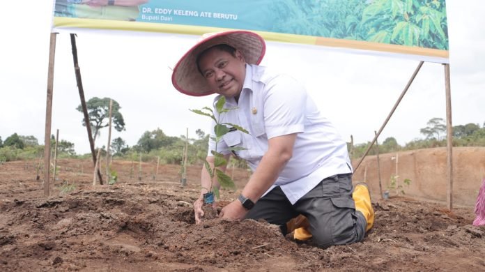 Tanam Perdana Sistem Fertigasi di KPT Parbuluan, Bupati Dairi: Saatnya Teknologi Pertanian Berkelanjutan