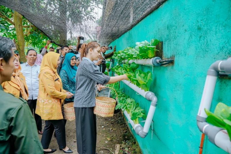 Kelurahan Pulo Brayan Bengkel Baru Sukses Optimalkan Pemanfaatan Lahan Tidur