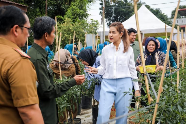 Bersama Kelompok Tani, Ketua TP PKK Kota Medan Panen Cabai Merah