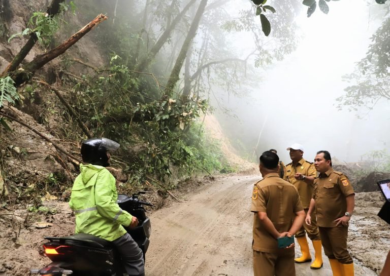 Wabup Dairi Tinjau Longsor di Kecamatan Silahisabungan